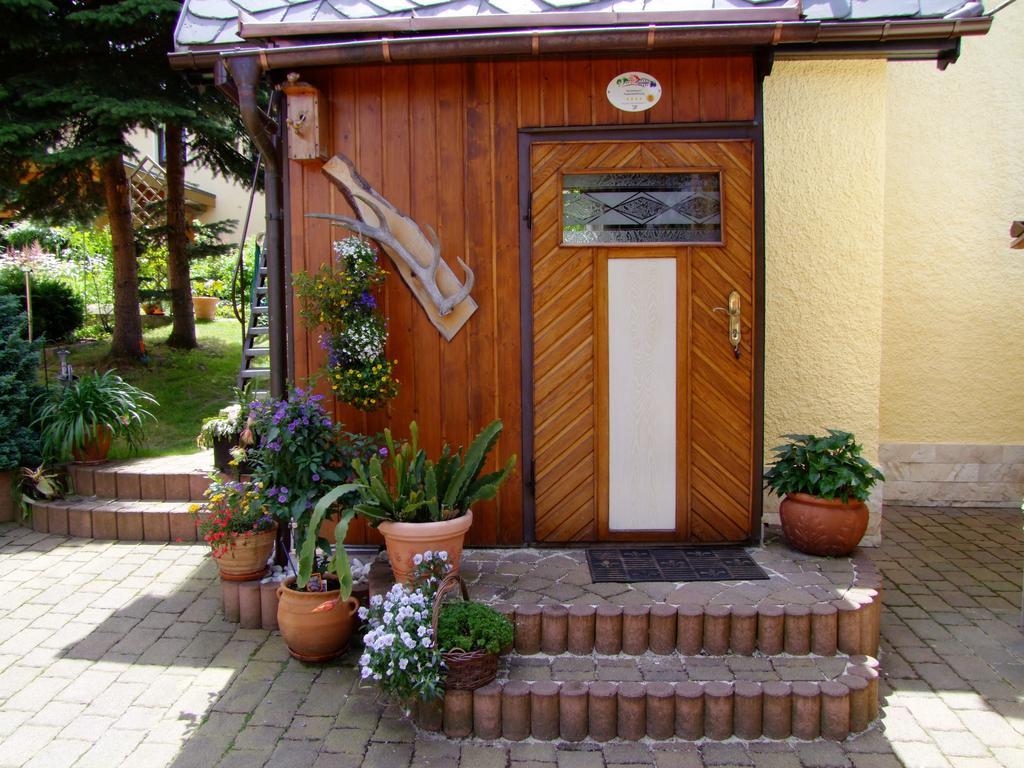 Ferienhaus Erzgebirge "An Der Trebe" Mit Kamin Und Sauna Neuhausen  Habitación foto