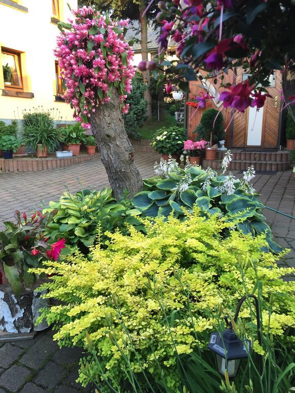 Ferienhaus Erzgebirge "An Der Trebe" Mit Kamin Und Sauna Neuhausen  Exterior foto