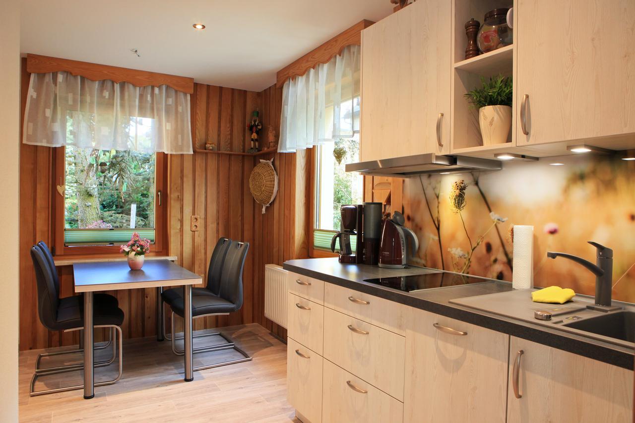 Ferienhaus Erzgebirge "An Der Trebe" Mit Kamin Und Sauna Neuhausen  Exterior foto
